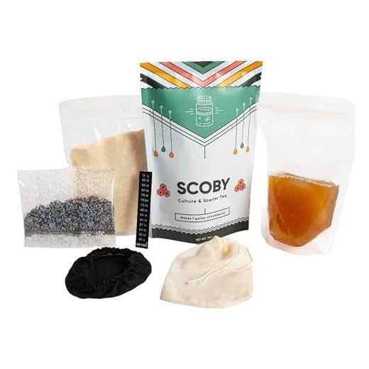 Craft A Brew Kombucha Bundle - Includes SCOBY, Elastic Jar Cover, Fermometer & Recipe Kit - Easy For Beginners - Fermentation & Homebrew - Makes 1 Gallon Batch