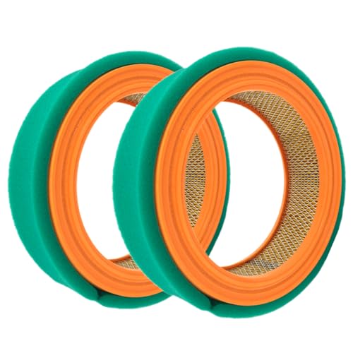 Gewxgzo 394018 Air Filter for B&S 392642 394018S 5050H 5050B 4135 421400 402400 JD LG394018JD GT235 GT235E LTR155 LTR166 LT166 LT170 LX288 SST16 SST18 Lawn Mower(2 Pack)