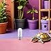 2pcs Turtle Shell Brush with Suction Cup - Turtle Shell Scratcher Tortoise Cleaning Scratcher Reptile Scrub Brush Aquatic Tortoise Tank Supplies