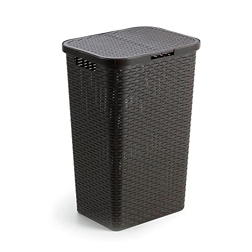 IPAE Pro Garden - Cesto Ropa Resina Con Tapa 80 litros Color...