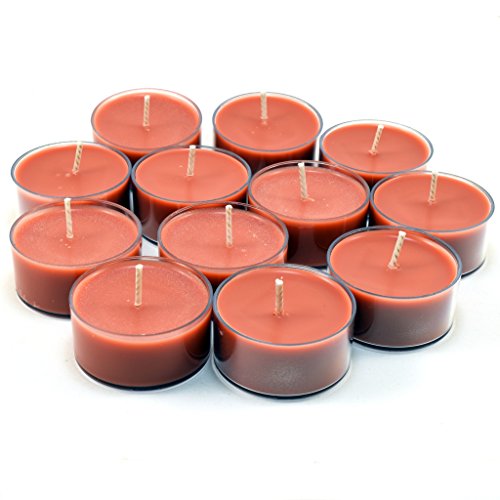 Pumpkin Caramel Cupcake - 12 Pack - Soy Tealight Candles - Brown Tealight Candles - Highly Scented - Made With Soy Wax - Handmade In The Usa - Candeo Candle - Fall Scents #TOP4