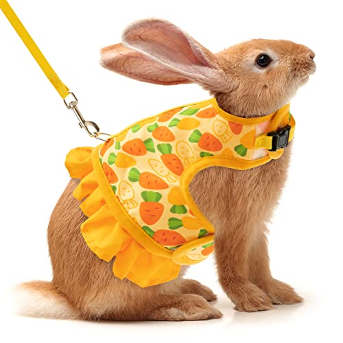Discover The Best Rabbit Harness And Leash For Your Pet Bunny
