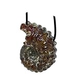 fossil ammonite meaning Edelstein: Ammonit (Ammoniten sind versteinerte Fossilien)