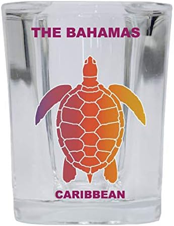 The Bahamas Caribbean Souvenir Rainbow Turtle Design Square Shot Glass