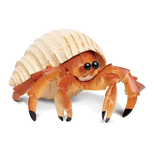 Safari Ltd. - Incredible Creatures Collection - 4.5" x 2.5" Hermit Crab Figurine - Non-toxic and BPA Free - Ages 3+