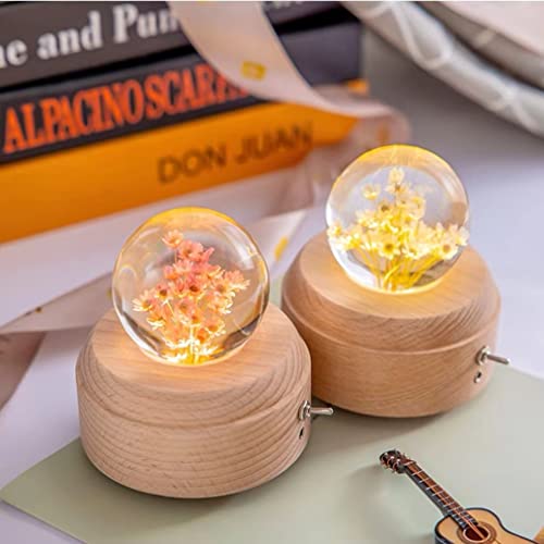 Natural - Dried - Flowers Brazilian Small Star Daisy Dried Decorative Mini Chamomile Bouquet For Wedding Floral Arrangements Home Decorations Valentine's Day Gifts (200 Stems) (White) #TOP6