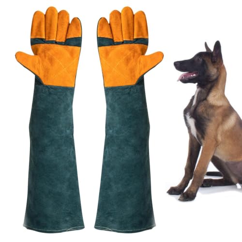 Manchette de dressage chien en cuir renforcé anti-morsure pour grand molosse