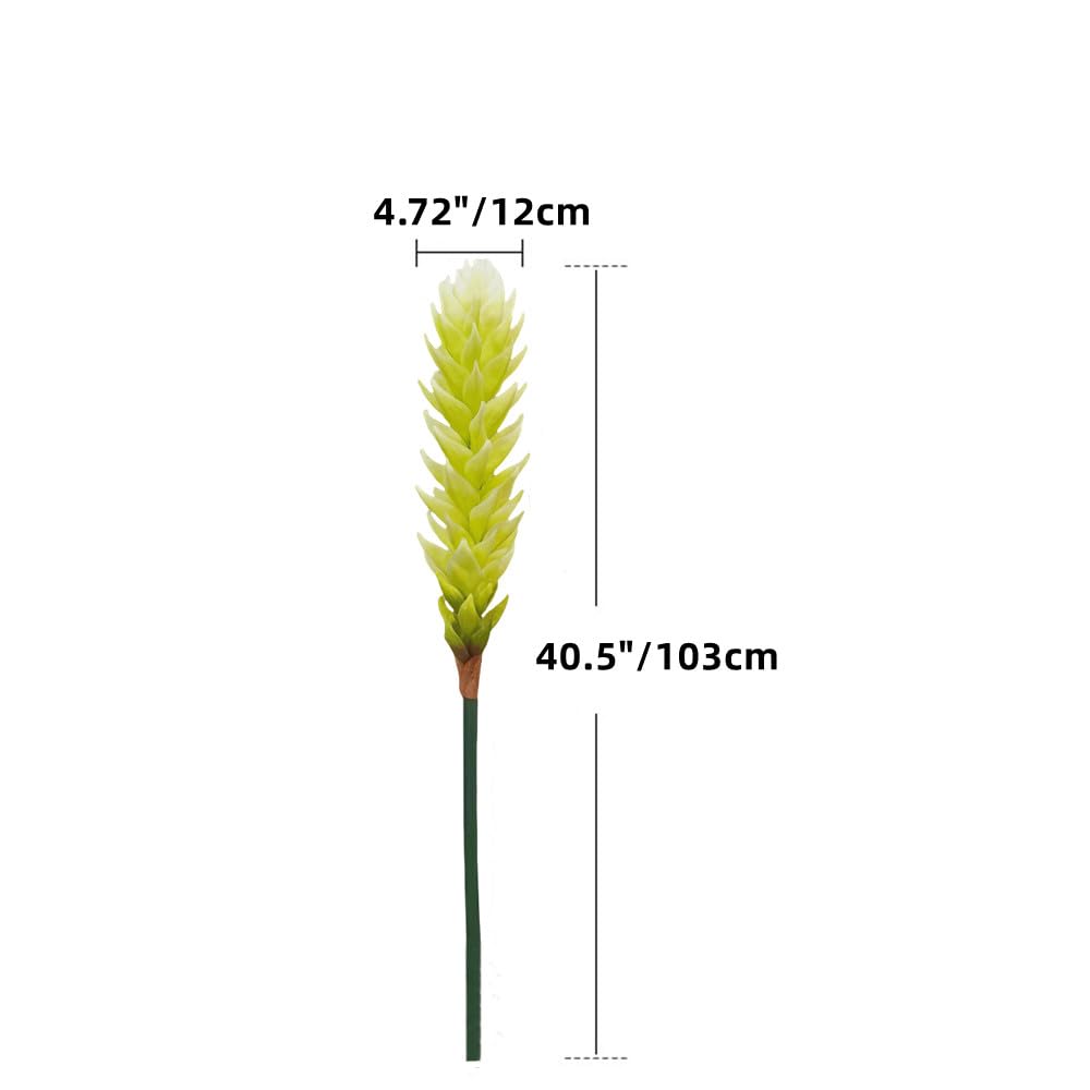 XZJMY Knstliche Bromelie, Seidenblumen, tropische Kunstpflanze,  Blumenstrue fr Kche, Regal, Raumdekoration, Blumenlnge 40,6 cm (1,  Hellgrn) : Amazon.de: Kche, Haushalt & Wohnen