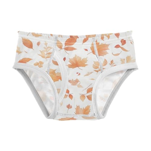 KLL Autumn Leaves Seamless Toddler Boys' Soft Briefs Underwear Breathable Children Undies