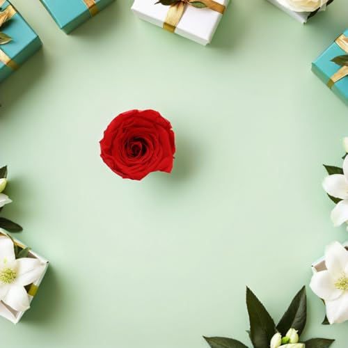 Ramo de rosas preservadas rojas de 12 piezas para festivales y cumpleaños inolvidables 6