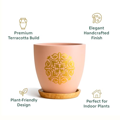 Image of Urban Plant Terracotta Pot with Wooden Saucer - Trendy Planter for Modern Home & Garden Spaces (Motif Terracotta Pot - Pink)