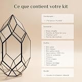 Lush Sphere PLUXEA kit terrarium à plantes 18 x 18 x 32 cm photo 4