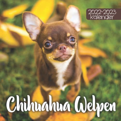Chihuahua Welpen Kalender 2022-2023: 24-Monats-Kalender von Januar 2022 bis Dezember 2023. Platz für Notizen. Es ist ein perfektes Geschenk für einen geliebten Menschen