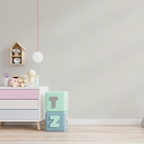 TADESSI Carta da parati a strisce Pepe M1-No.99, carta da parati in tessuto non tessuto, grigio a righe argentate, per camera dei ragazzi