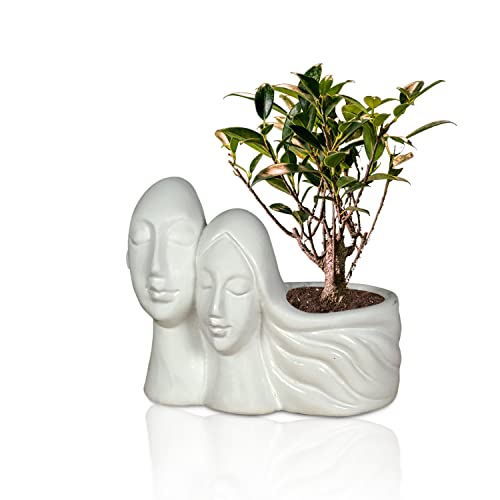 Image of Lasaki Couple White Ceramic Pots for Indoor Plants, Planters, Flower, Pots, gamla, Outdoor, Balcony, Home, Garden, Office Decor, Succulent Pot(L - 16 X W - 10 X H - 14.5 cm)(Plants not Included)