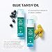 MAXCLINIC [K-Beauty] Blue Tansy Oil to Foam - All-in-One Korean Face Wash OilBased Foaming Facial Cleanser - Excess Sebum & Oil Control - Makeup Deep Cleansing Oil for All Skin Types (3.88 fl oz)