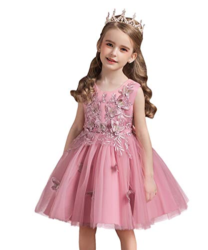 Flower Girls Embroidery Tulle Dress Butterflies Princess Wedding Birthday Party Communion Pageant Dance Ball Gown2