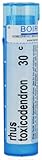 Boiron - Rhus Toxicodendron - 30C (80 Pellet)