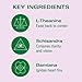 Kin Euphorics Kin Bloom Non-Alcoholic Functional Beverage | All day rosé | Elevate Your Mind & Spirit | Prebiotic | L-Theanine, Schisandra, Damiana | Ready to Drink | 8 Fl Oz (12pk)