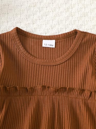 Willow Dance Toddler Baby Girls Outfits Long Sleeve Ruffled Shirt Top Flare Denim Jeans Cute 2Pcs Fall Winter Clothes3