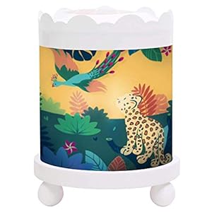 Lanterna magica savana – legno bianco 12 V – Monousselier