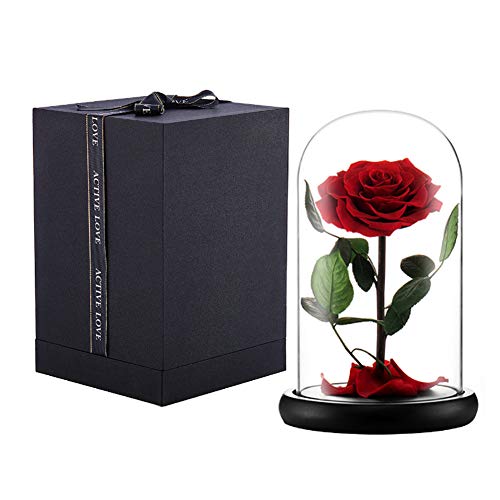 puto Preserved Real Rose Eternal Rose in Glass Dome Gift for Her Thanksgiving Christmas Valentine's Day Birthday Mother's Day (Red, Large)