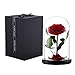 puto Gifts for Mom Preserved Roses in Glass Dome Beauty and The Beast Rose Gift for Her Mother's Day Thanksgiving Christmas Valentine's Day Birthday (Red Rose)