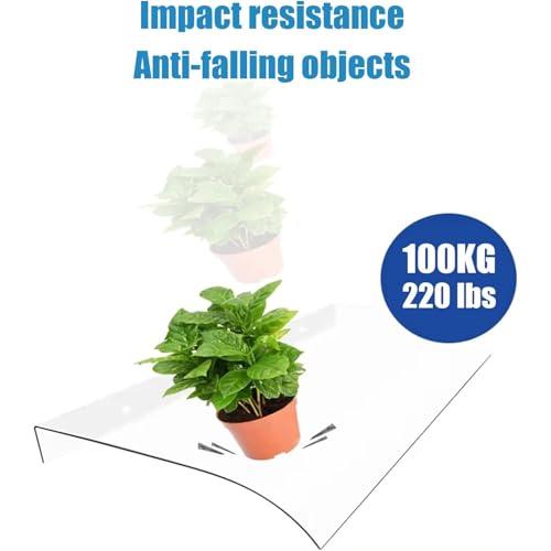 Toldo para ventana de porche resistente a impactos UV 200cm 5