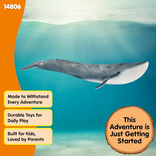 SCHLEICH 14806 Blue whale Wild Life Toy Figurine for children aged 3-8 Years