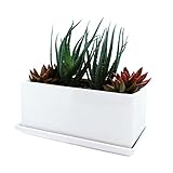 Parva Garden Succulent and Herb Planter Pot with Removable Tray, Window Box in A Modern Ceramic Design