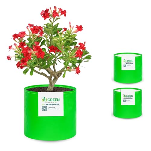 Image of HDPE Grow Bags for Plants 9X9 Inch (Pack of 3) | 260 GSM Heavy Duty UV-Protected Round Green Colour Plant Bags for Terrace and Vegetable Gardening | Strong & Reusable|