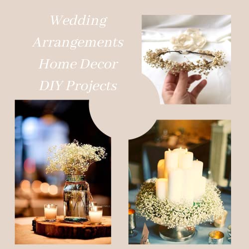My Bouquets Dried Baby Breath Cream, Preserved Gypsophila For Wedding Diy Arrangements, Dried Flowers For Home Decorations, Million Star Gypso, Babys Breath #TOP4
