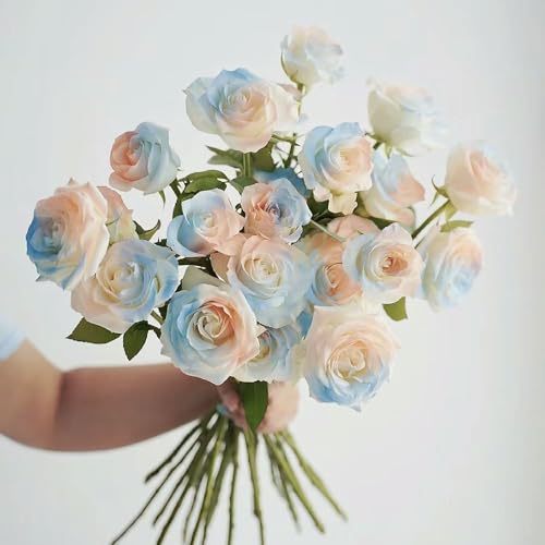 200 pcs rosensamen zum einpflanzen, rosen samen, samen blumenwiese, balkonpflanzen kletterrosen winterhart blumensamen, garten balkonblumen, nachhaltige geschenke für frauen wiesenblumen 200 pcs rosensamen zum einpflanzen, rosen samen, samen blumenwiese, balkonpflanzen kletterrosen winterhart blumensamen, garten balkonblumen, nachhaltige geschenke für frauen wiesenblumen