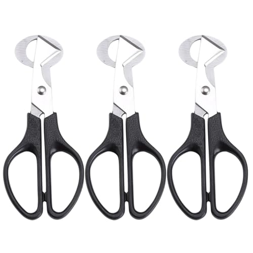 JOINPAYA XeX EYp͂ ̊kJb^[ ^؂΂ p[eB[ƒ뗿 3Zbg