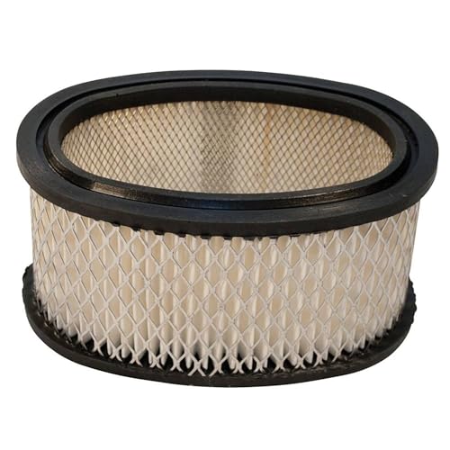 Stens 100-198 Compatible with/Replacement for Briggs and Stratton 393725 Air ...