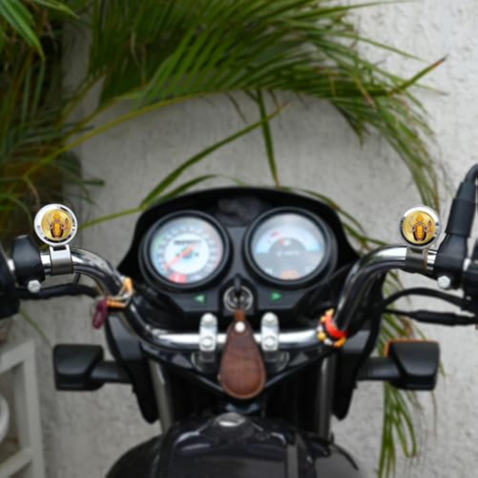 Bike Frame with 24K Plated Foil and Adjustable Design