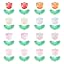 Clorful | Tulip