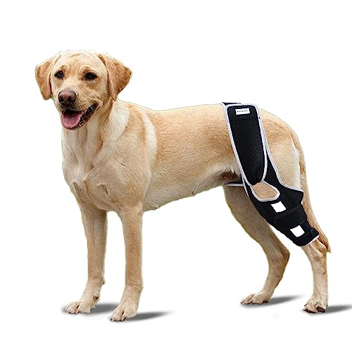 Image of Dog Leg Support - for Leg Wounds After Surgery for Ligament Tears, with Support Strips to Protect The Dog's Leg Wounds. Breathable and Comfortable（M）