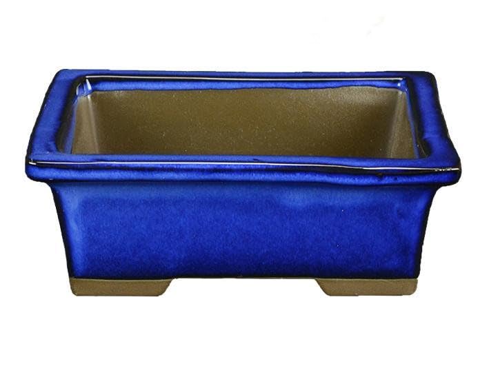 Maceta Rectangular Bonsái Altura 5cm Ancho 10cm y Colores Surtidos