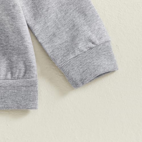 Twopumpkin Toddler Baby Boy Mallard Duck Hooded Sweatshirt Long Sleeve Hoddies Cute Sweater Outfit Fall Winter Clothes4