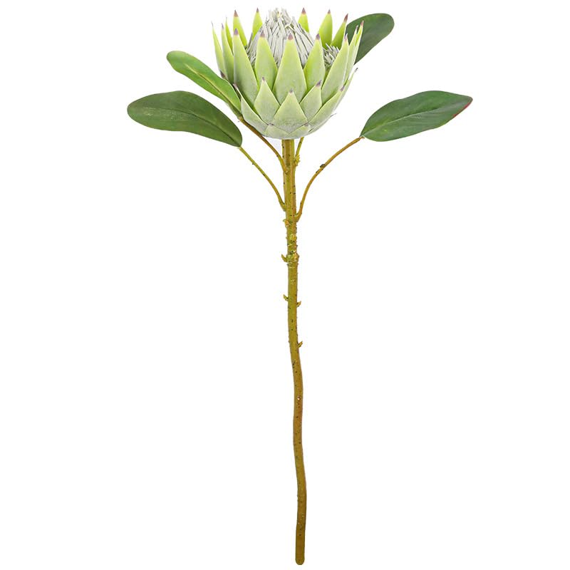 Elegante arreglo floral king protea de alta calidad para una decoración sofisticada 6