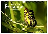 Ama la Vida Ecuador (Wandkalender 2023 DIN A4 quer), Calvendo Monatskalender