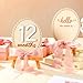 Colingmill 2 Pcs Monthly Baby Milestone Signs Cards with Pink Bow Wooden Coquette Discs Newborn Photography Props to Document Your Baby's Growth 1-12 Newborn Gift for Girl and Boy(Oval)