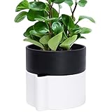 Phoenix Vine 6.5 Inch Self-Watering Planter Pot with Terracotta Insert, Deep Water Reservoir, and Ceramic-Alike BPA-Free Plastic Pot for Plant, Modern Planter for Houseplants, White/Black, 53-B-S-4