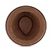 Christian Siriano New York Fedora Hat, Wool Felt Pork Pie Wide Brim Fashion Hat for Men and Women, Brown, One Size