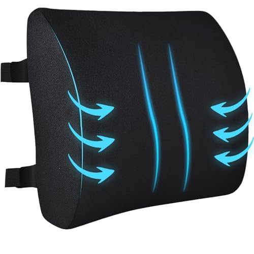HomDSim Memory Foam Lumbar Cushion Lower Back Support Pillow Posture Correcting Car Seat Home Office Chair