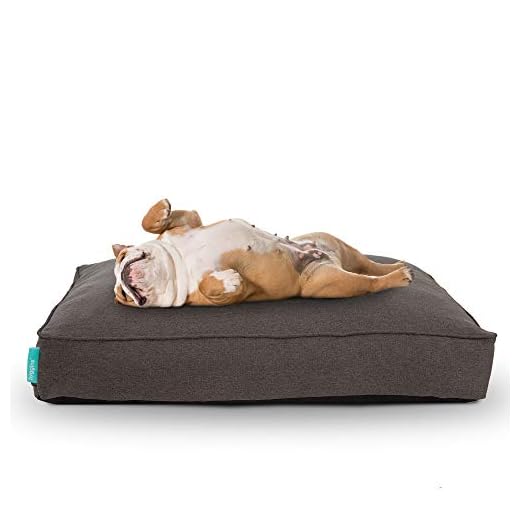 Hyggins Lounger Plus Hondenkussen, orthopedisch, afneembare hoes, bodem waterafstotend (XL 133 x 88 cm, donkergrijs)