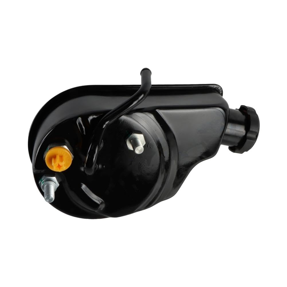 Gruppo Pompa Servosterzo Compatibile Con Blazer V6 4.3L(1 PC)