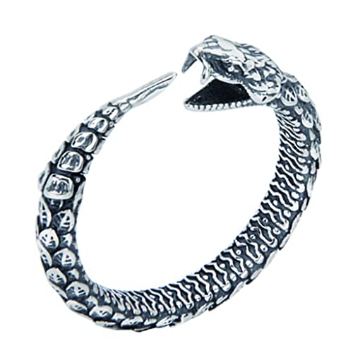 WYPAN Anillo de Ouroboros Vikingo Nórdico de Plata de Ley 925 para Hombre, Joyería Pagana Nórdica Gótica Vintage para Niños, Regalo Personalizado