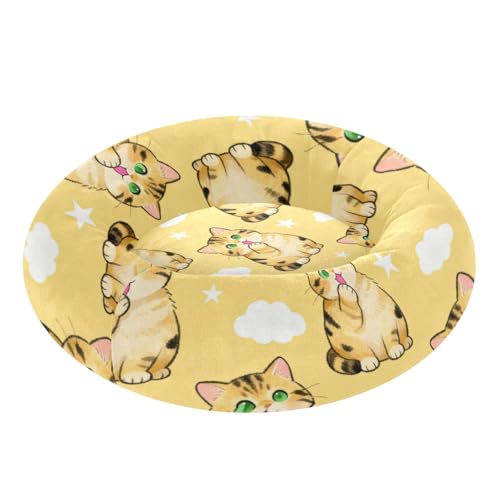 Lit chaud pour chat de taille moyenne marron en taille M - 2